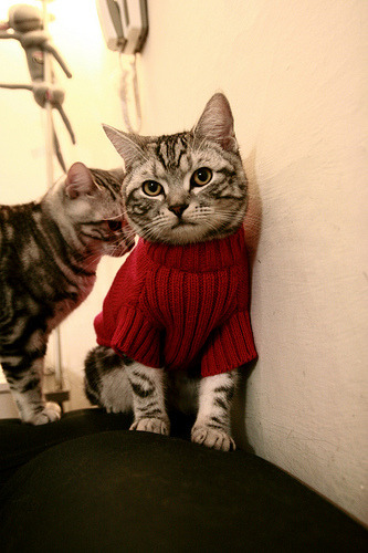 “全球极限巡游：穿越五大洲的赛车传奇”，国外极限赛道