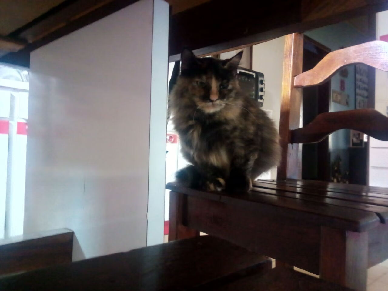 “全球极限巡游：穿越五大洲的赛车传奇”，国外极限赛道