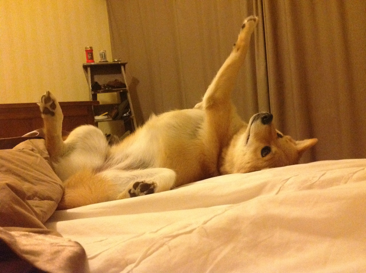 国家体育总局重点支持青少年足球，打造未来足球强国路线图，国家对青少年足球训练的重视