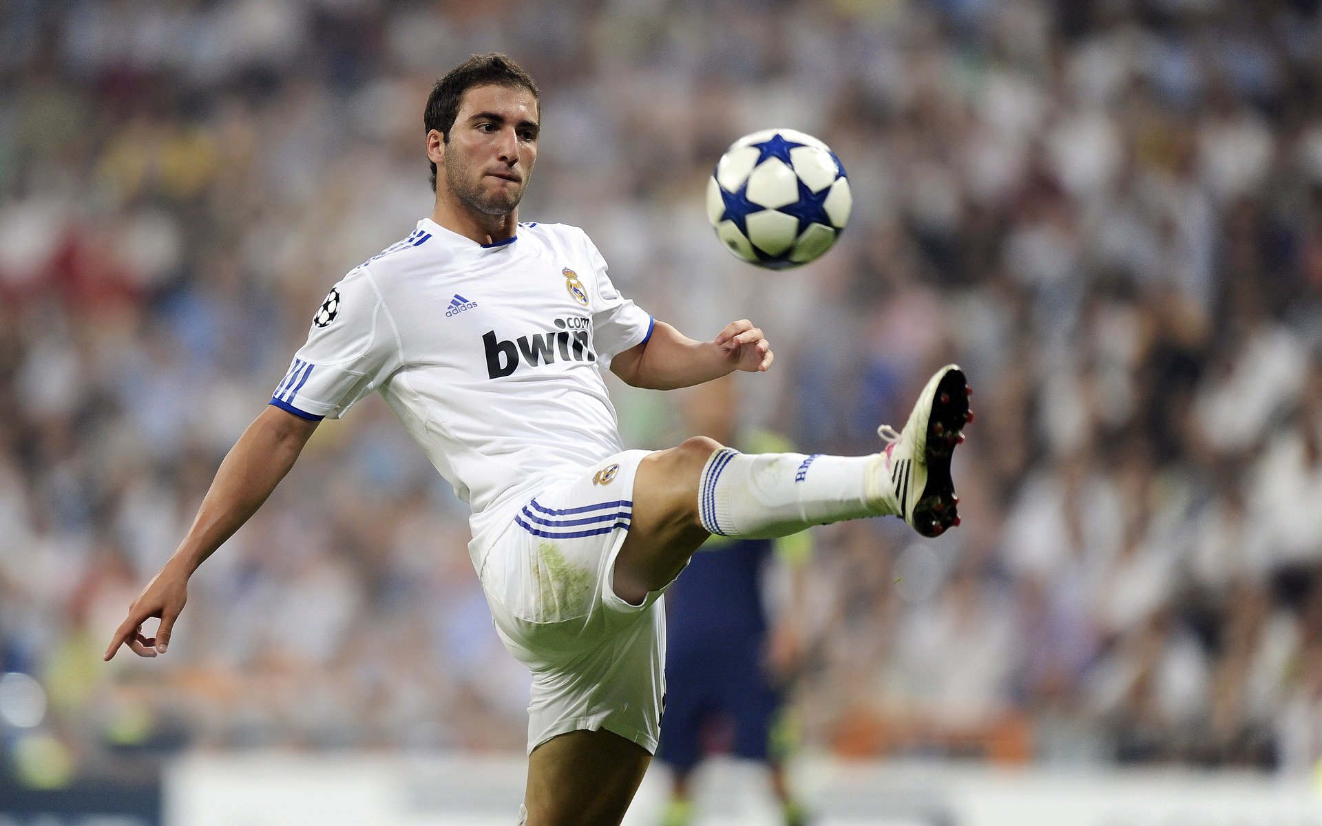 世界杯赛场的智能化管理系统,世界杯比赛机制